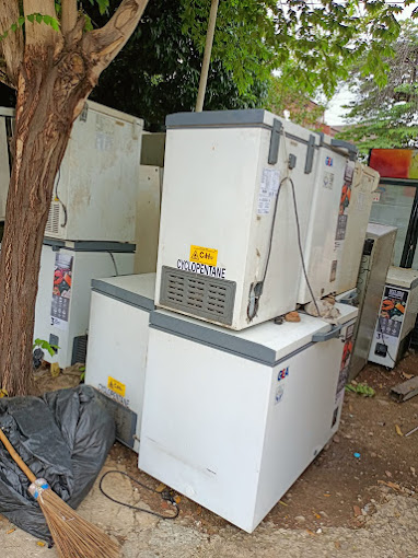 Chest Freezer